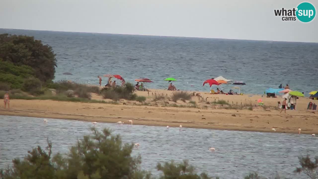 Webcam Chia – Vue en direct de la plage Su Giudeu