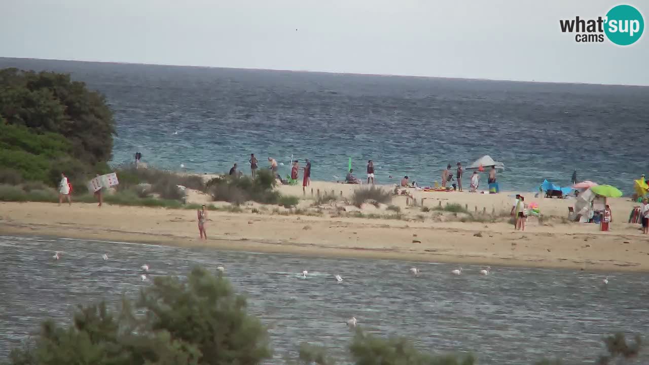 Webcam Chia – Live View of Su Giudeu Beach