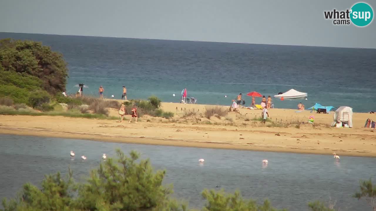 Webcam Chia – Vue en direct de la plage Su Giudeu