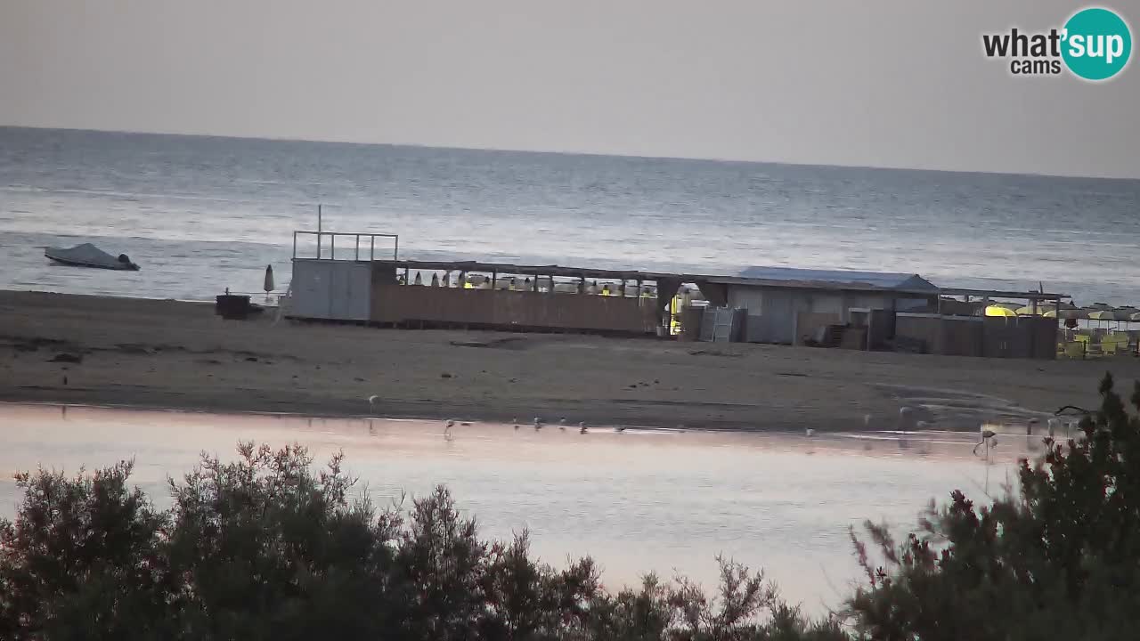 Webcam Chia – Live View of Su Giudeu Beach