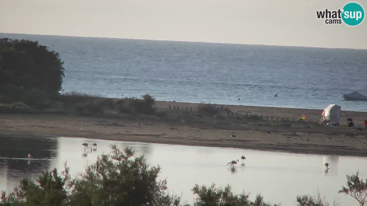Webcam Chia – Live View of Su Giudeu Beach