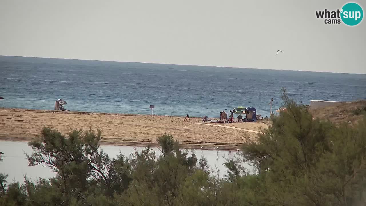 Webcam Chia – Live View of Su Giudeu Beach