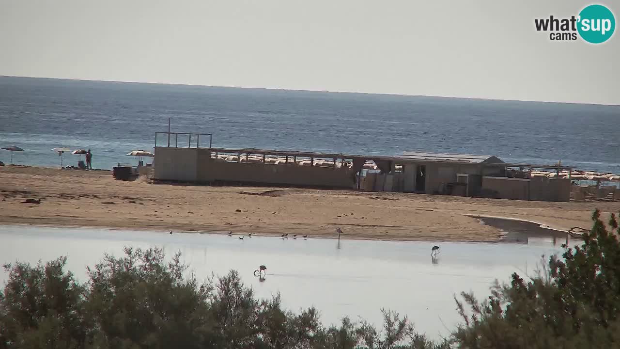 Web kamera Chia – Pogled uživo na plažu Su Giudeu