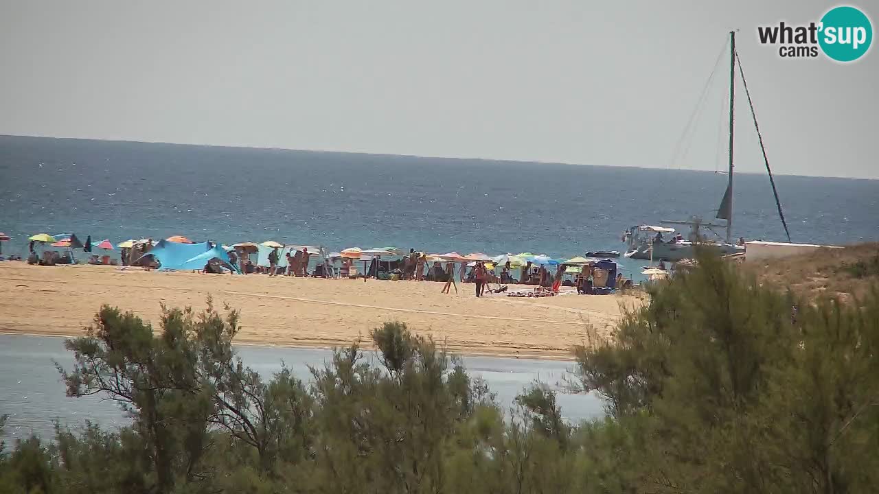 Webcam Chia – Live View of Su Giudeu Beach