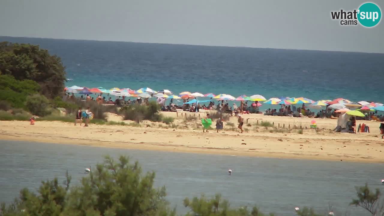 Webcam Chia – Liveblick auf den Strand Su Giudeu