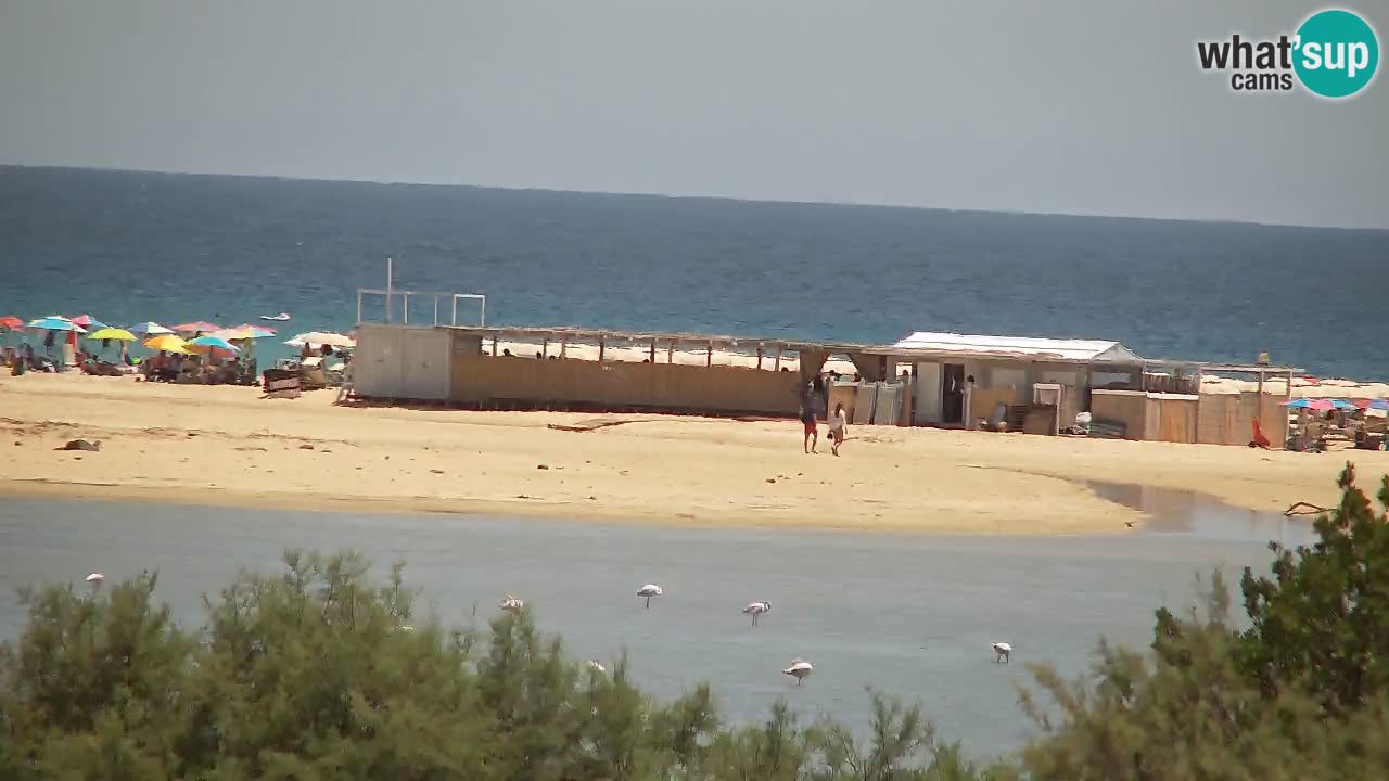 Webcam Chia – Live View of Su Giudeu Beach