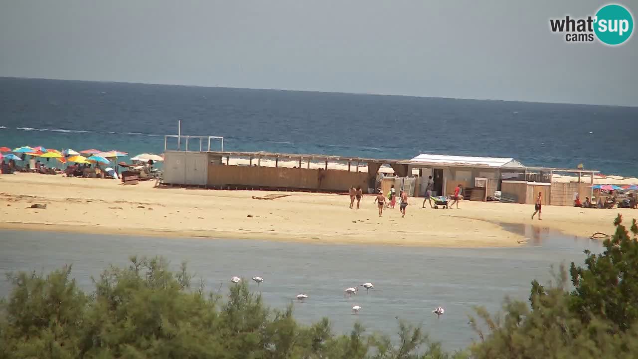 Spletna kamera Chia – Pogled v živo na plažo Su Giudeu