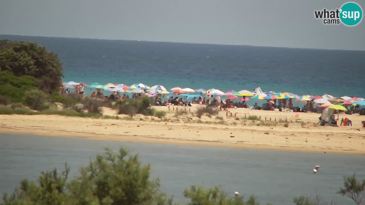 Webcam Chia – Spiaggia Su Giudeu in diretta