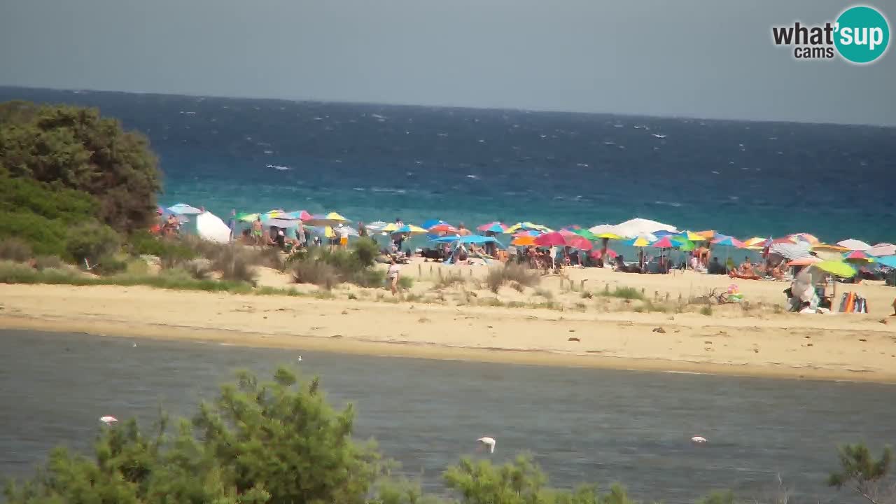 Spletna kamera Chia – Pogled v živo na plažo Su Giudeu