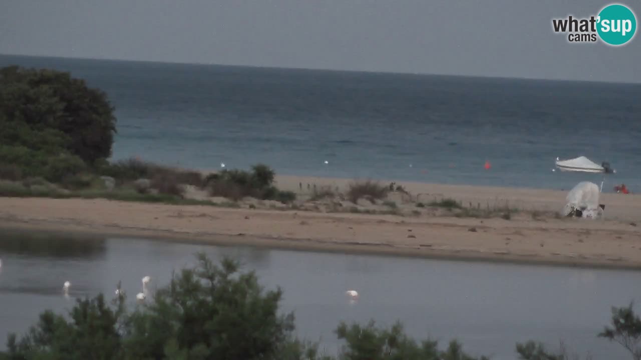Webcam Chia – Liveblick auf den Strand Su Giudeu