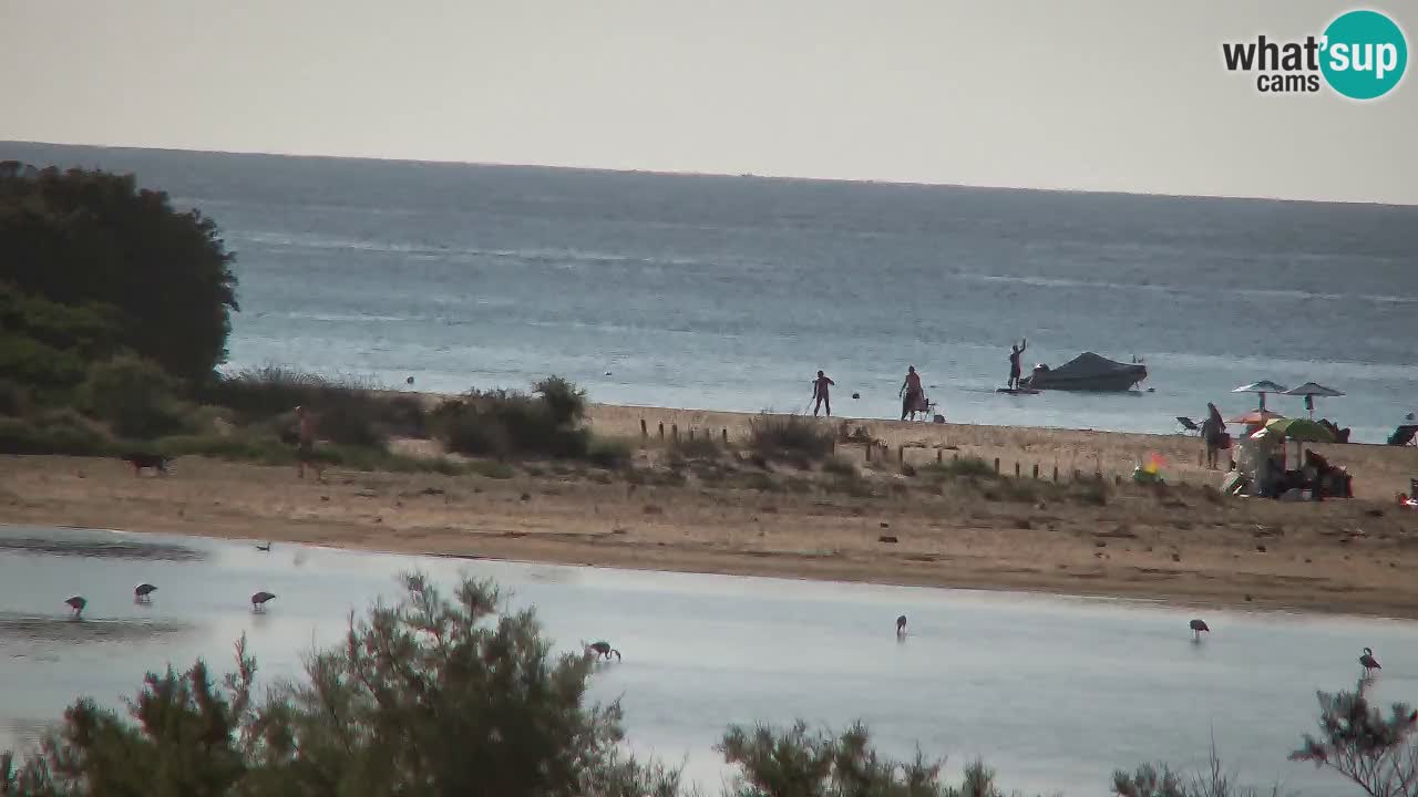 Webcam Chia – Live View of Su Giudeu Beach