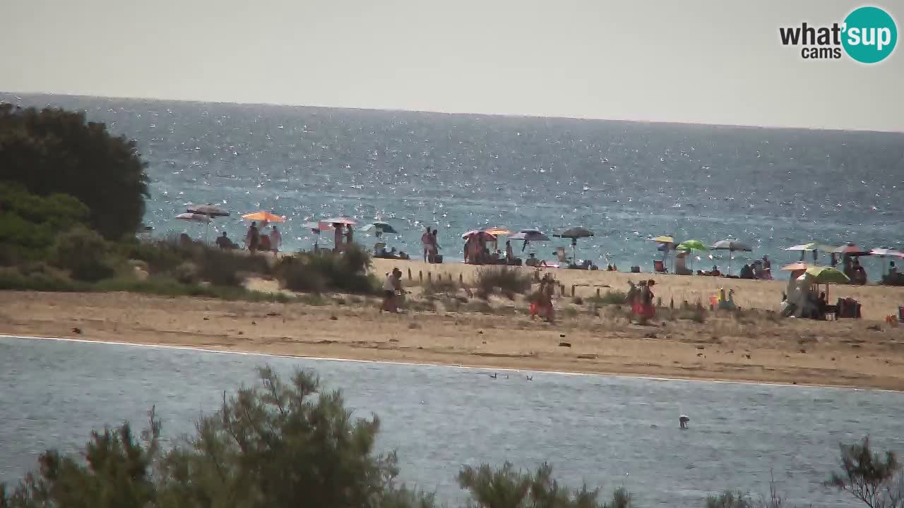 Webcam Chia – Live View of Su Giudeu Beach