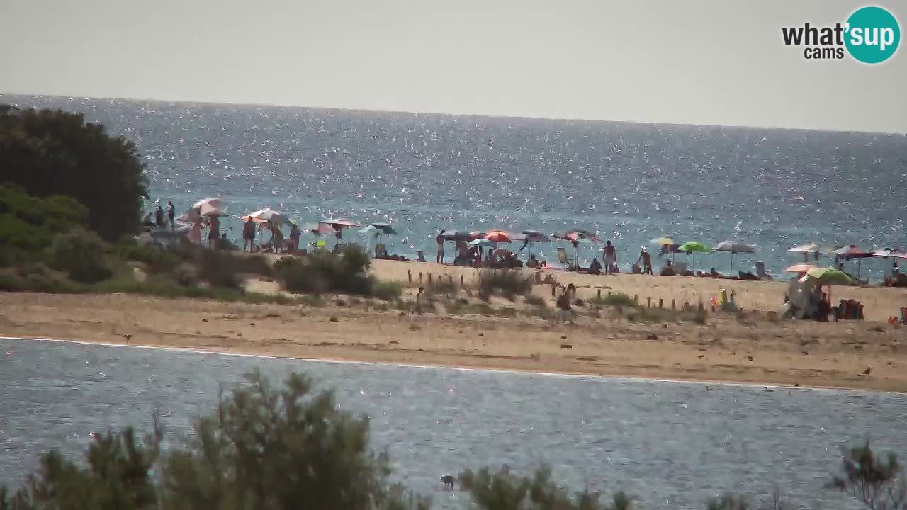 Webcam Chia – Spiaggia Su Giudeu in diretta