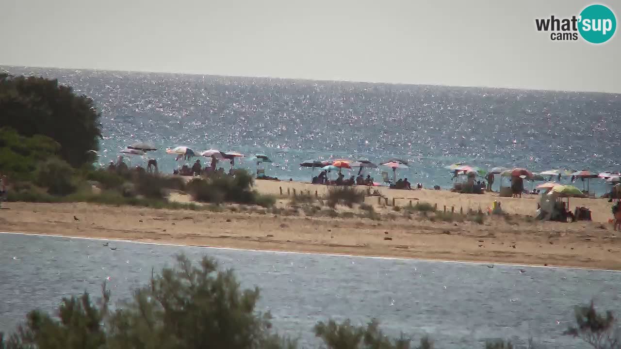 Webcam Chia – Live View of Su Giudeu Beach