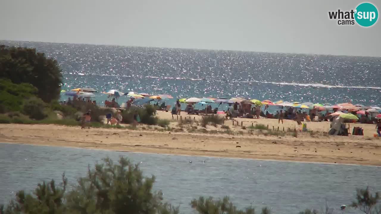 Webcam Chia – Vista en directo de la playa Su Giudeu