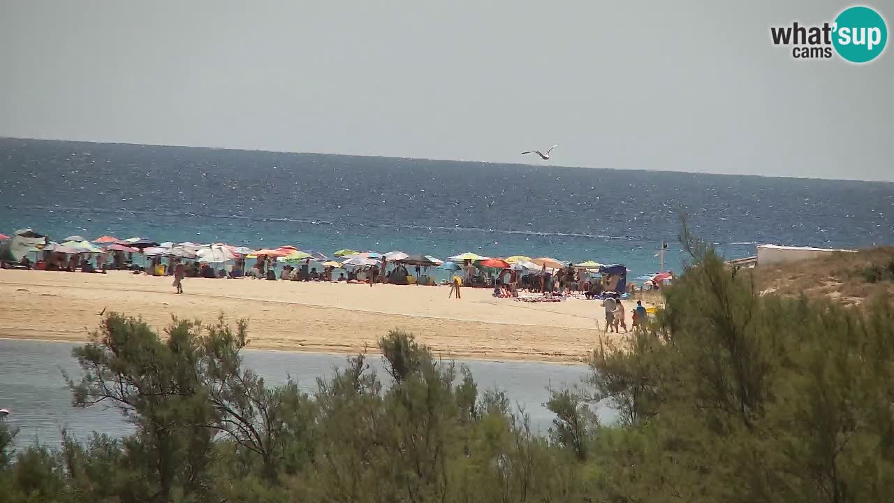 Webcam Chia – Live View of Su Giudeu Beach
