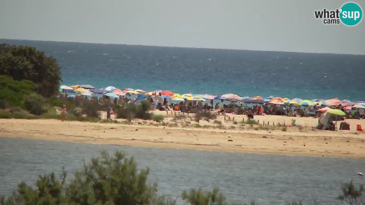 Webcam Chia – Live View of Su Giudeu Beach
