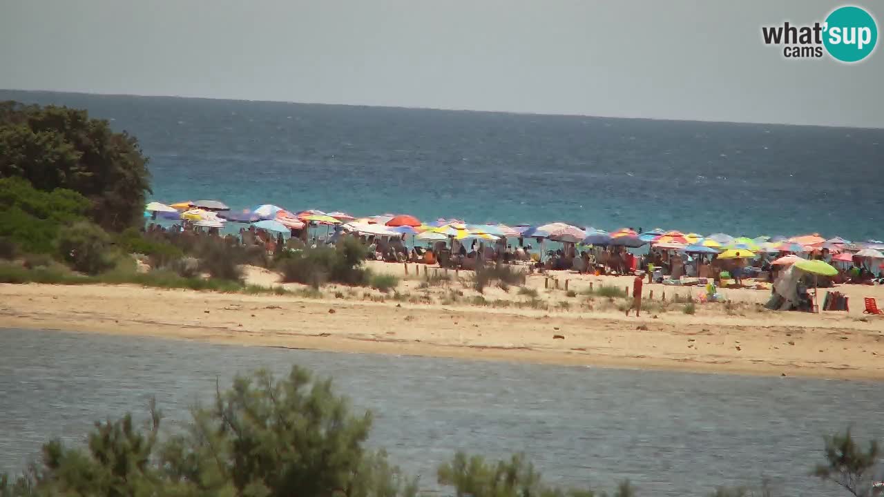 Webcam Chia – Spiaggia Su Giudeu in diretta