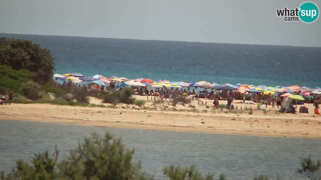 Webcam Chia – Vista en directo de la playa Su Giudeu