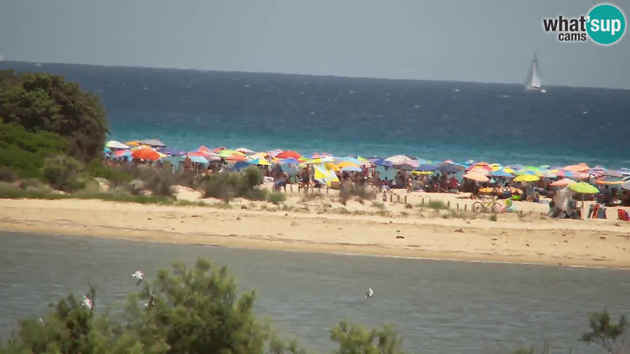 Spletna kamera Chia – Pogled v živo na plažo Su Giudeu