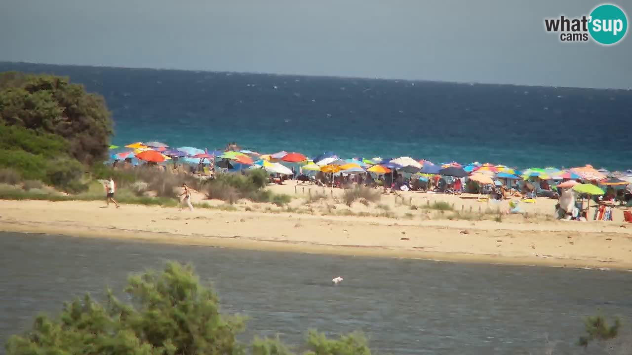 Webcam Chia – Vista en directo de la playa Su Giudeu
