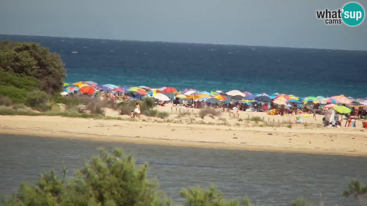 Webcam Chia – Live View of Su Giudeu Beach