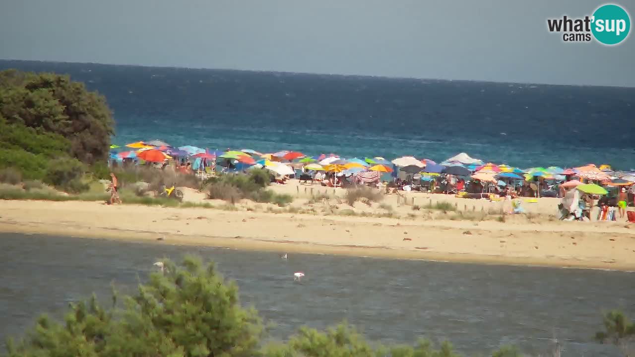 Webcam Chia – Live View of Su Giudeu Beach