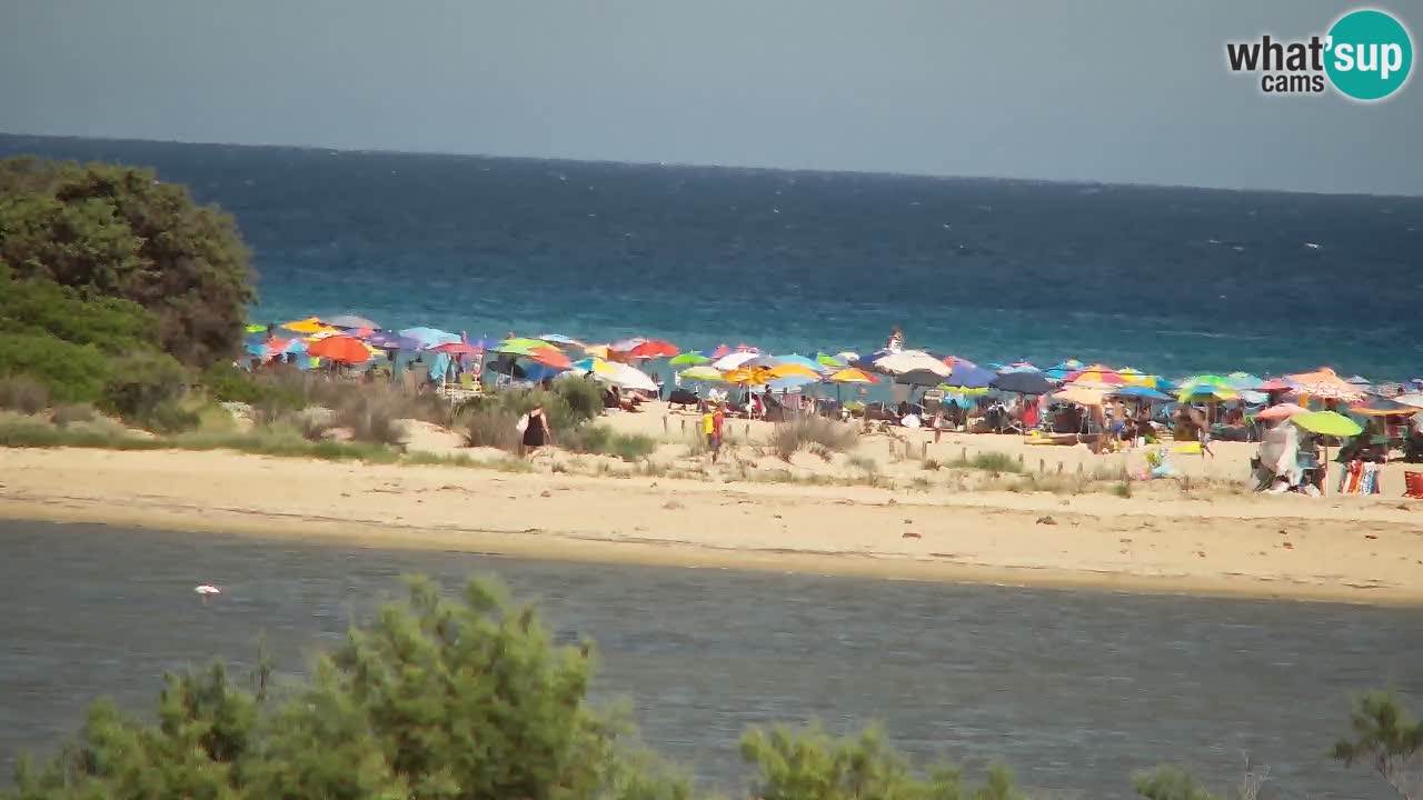 Webcam Chia – Liveblick auf den Strand Su Giudeu