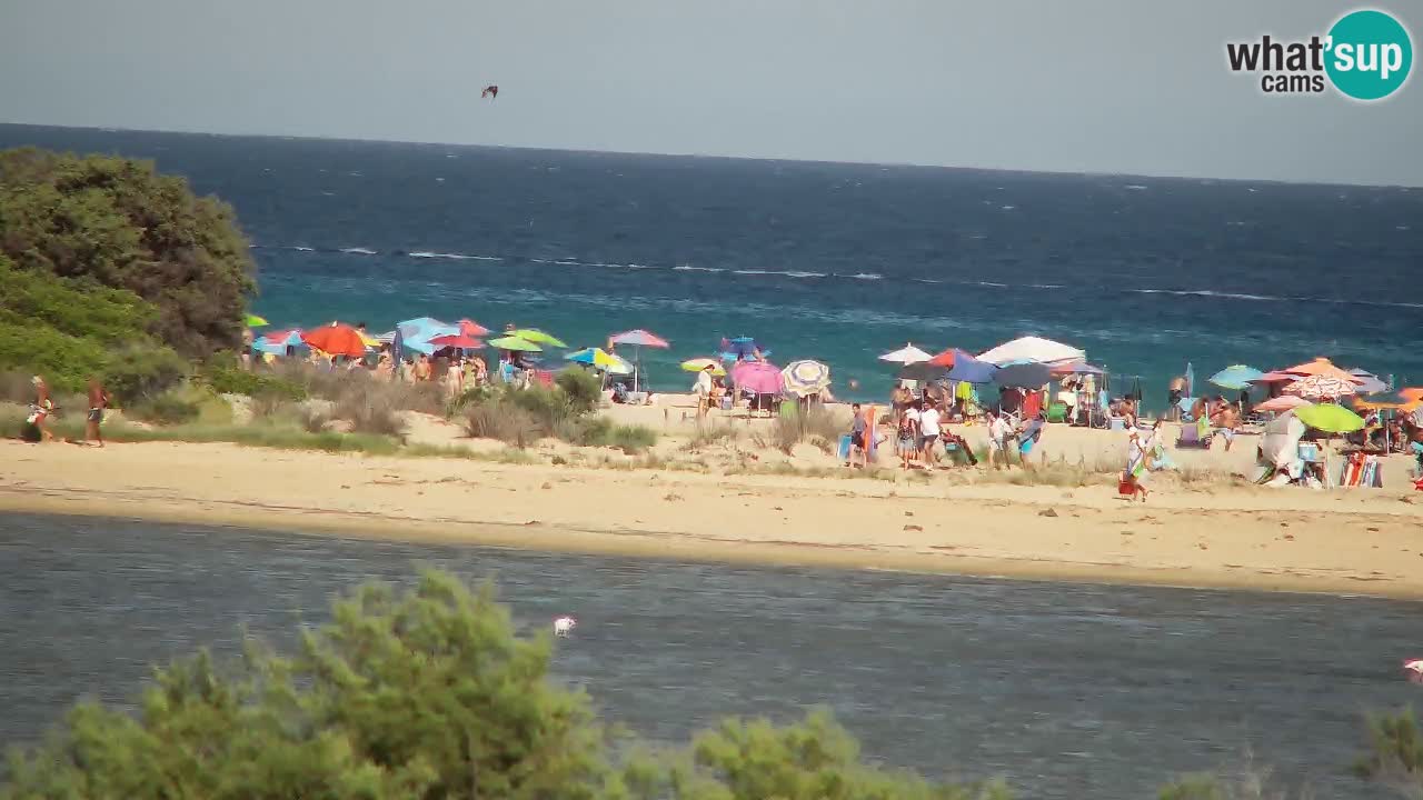 Webcam Chia – Liveblick auf den Strand Su Giudeu