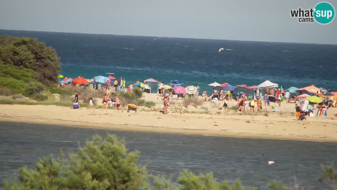 Spletna kamera Chia – Pogled v živo na plažo Su Giudeu