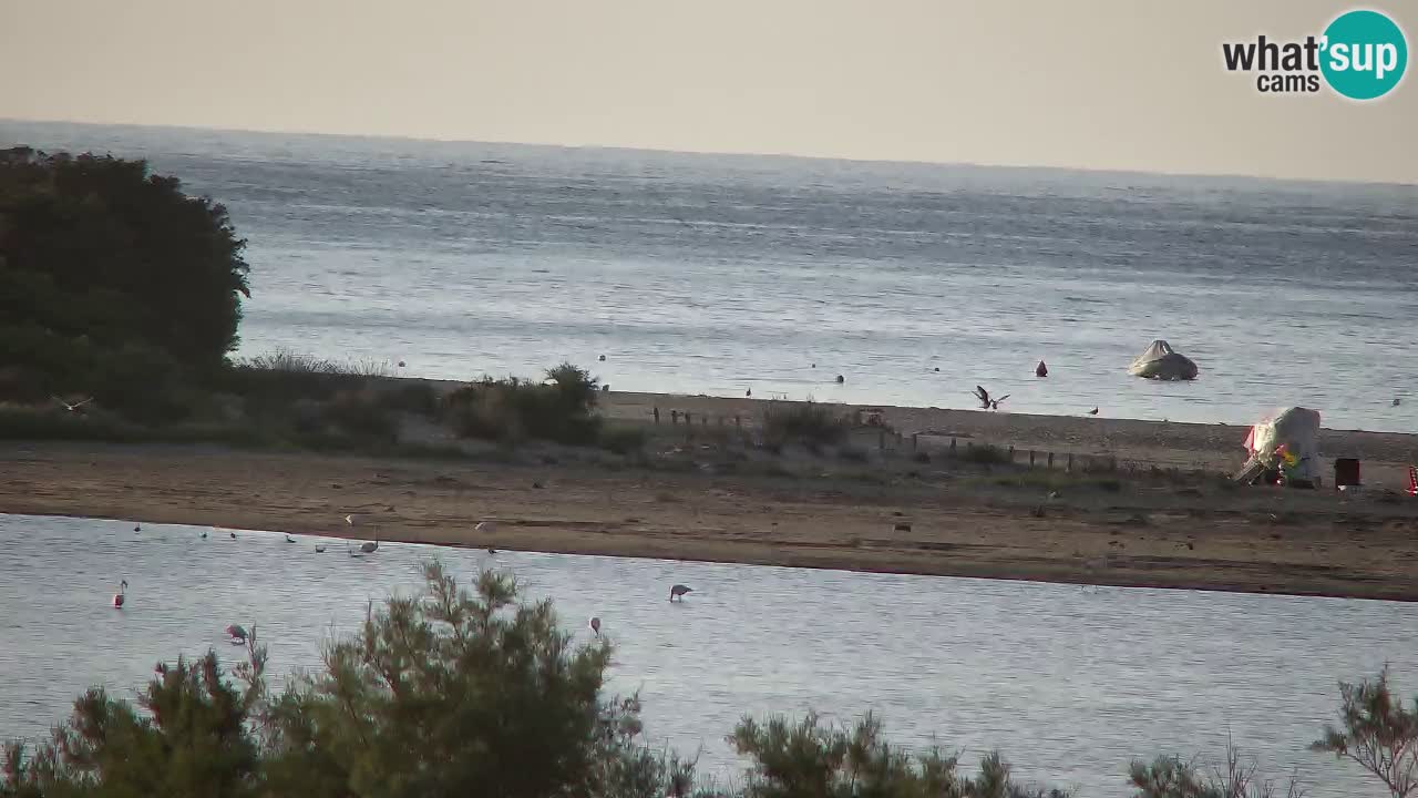 Webcam Chia – Live View of Su Giudeu Beach