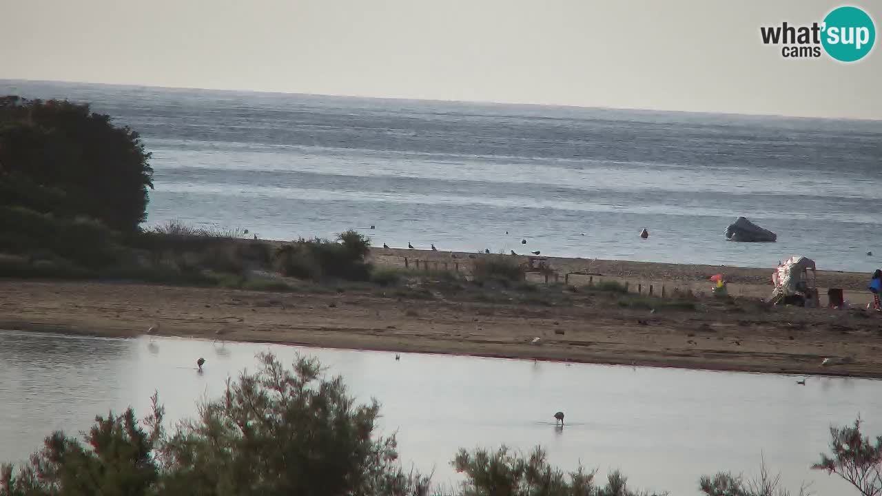 Webcam Chia – Live View of Su Giudeu Beach