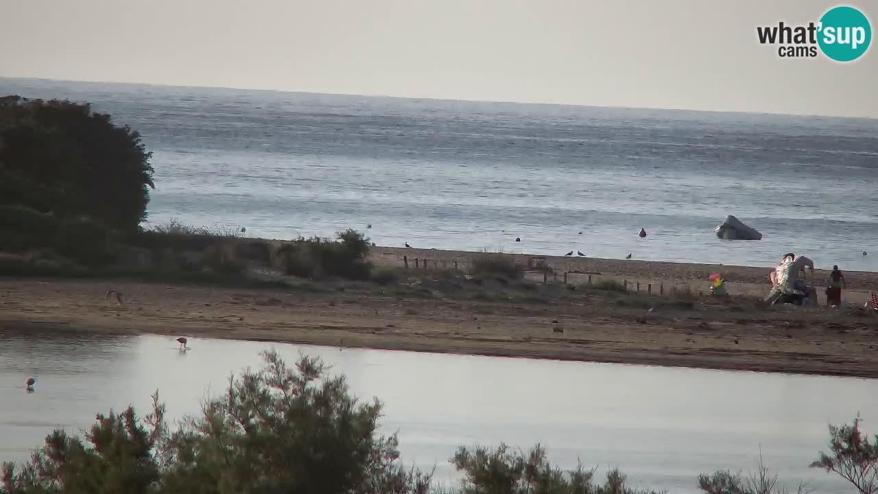 Spletna kamera Chia – Pogled v živo na plažo Su Giudeu