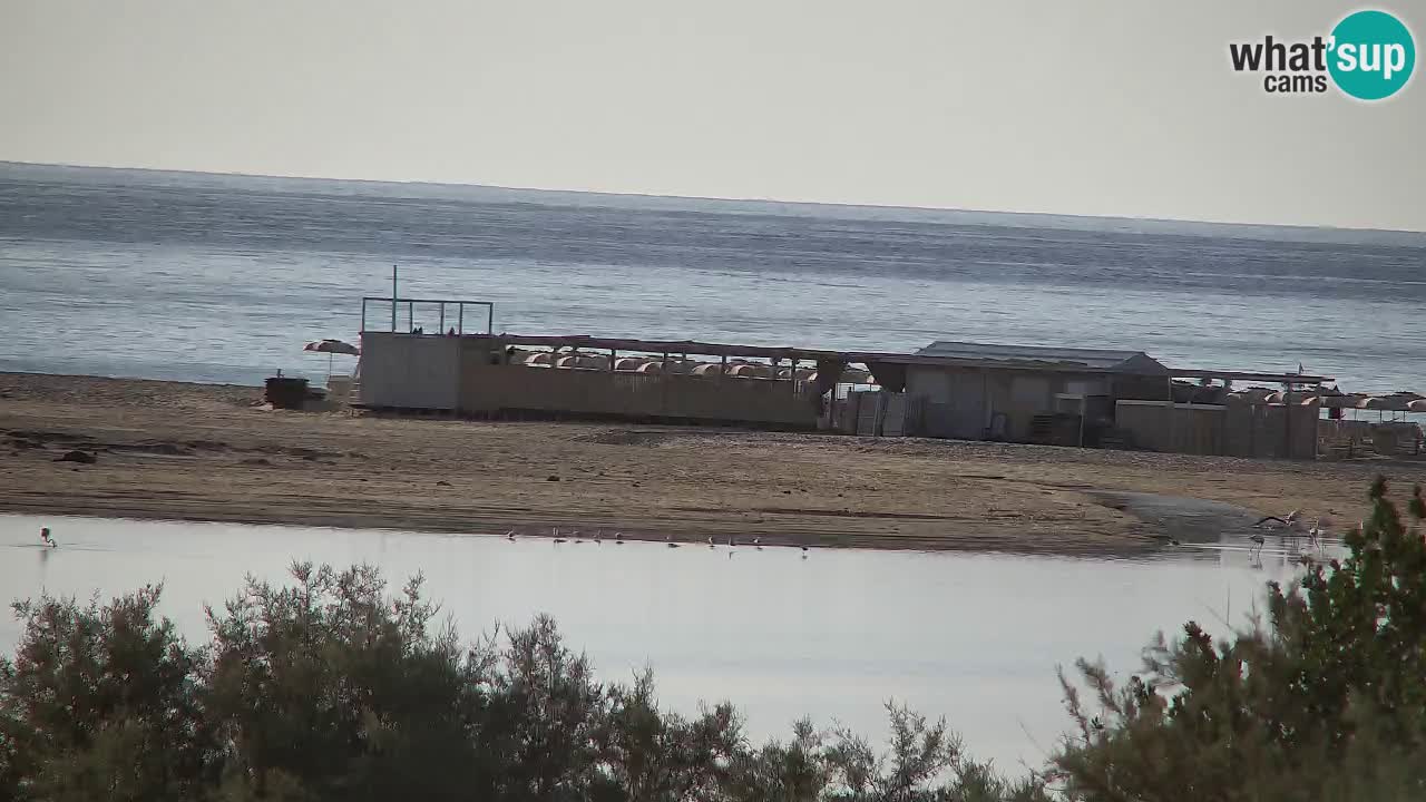 Webcam Chia – Live View of Su Giudeu Beach