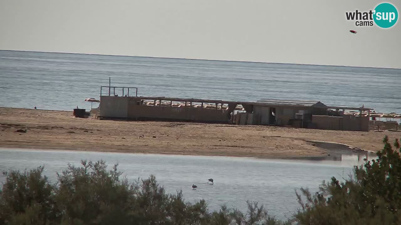 Webcam Chia – Live View of Su Giudeu Beach