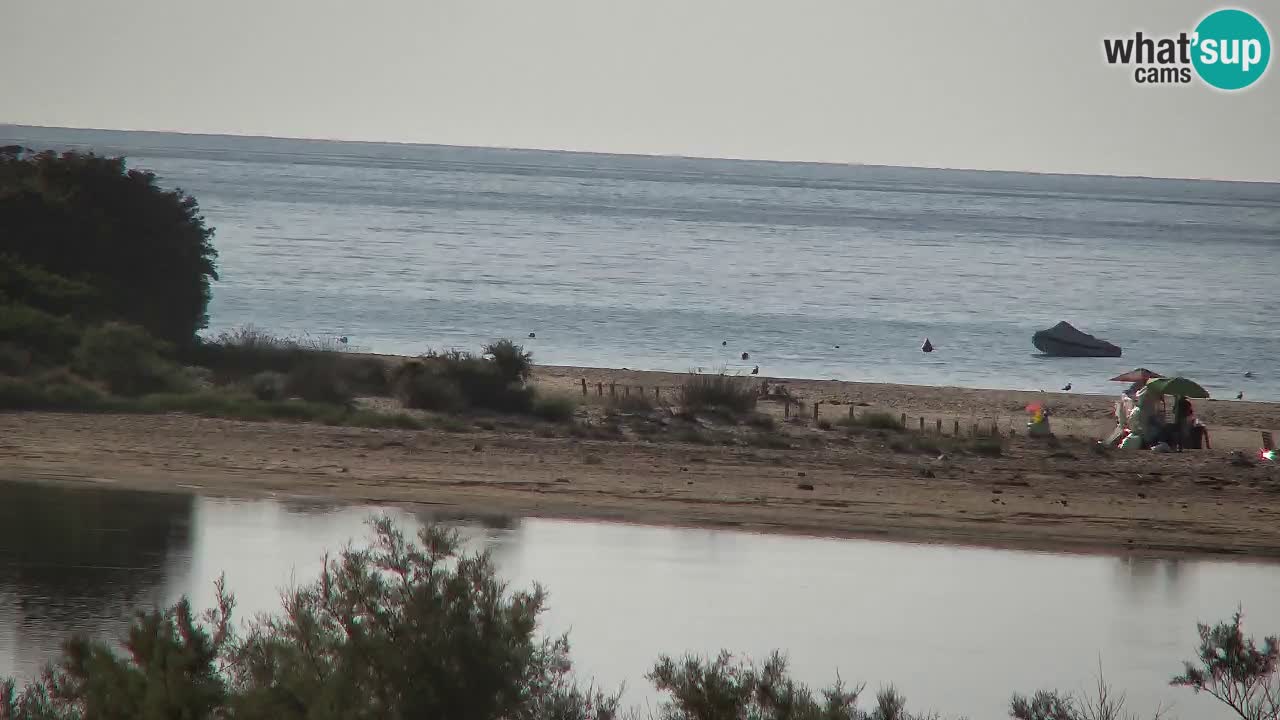 Webcam Chia – Live View of Su Giudeu Beach