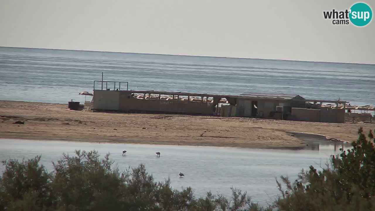 Webcam Chia – Spiaggia Su Giudeu in diretta