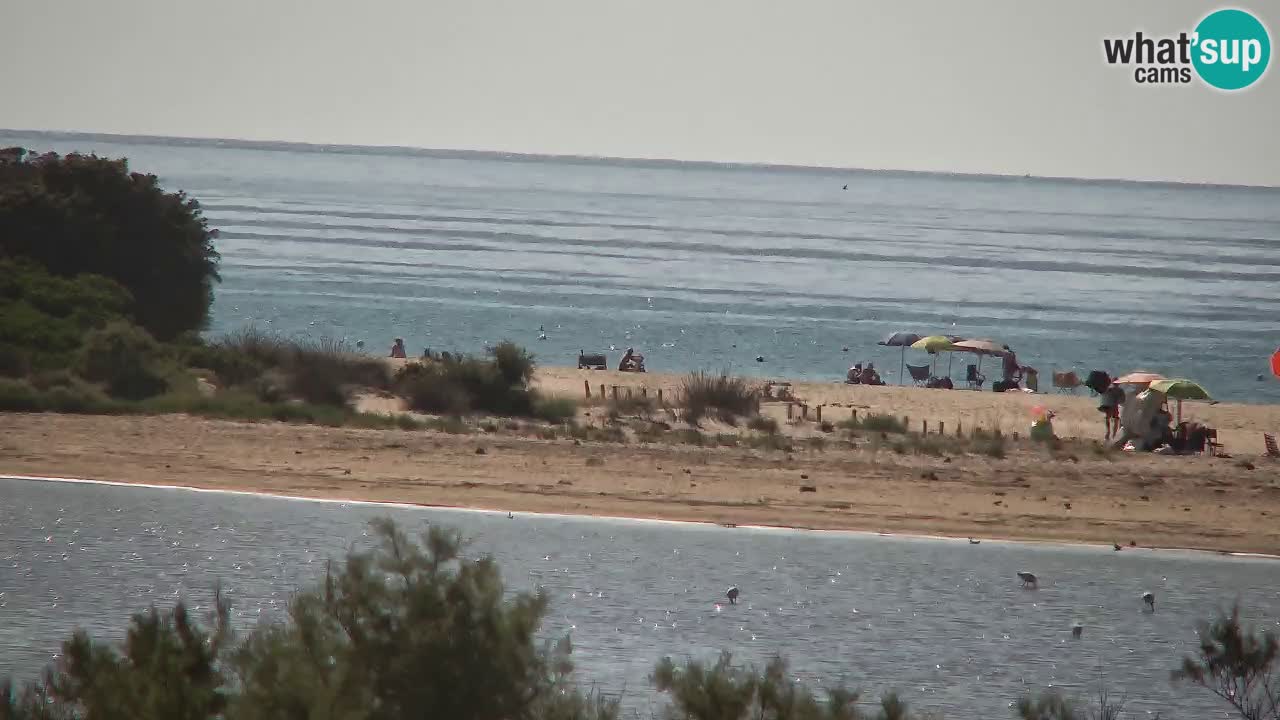 Webcam Chia – Live View of Su Giudeu Beach