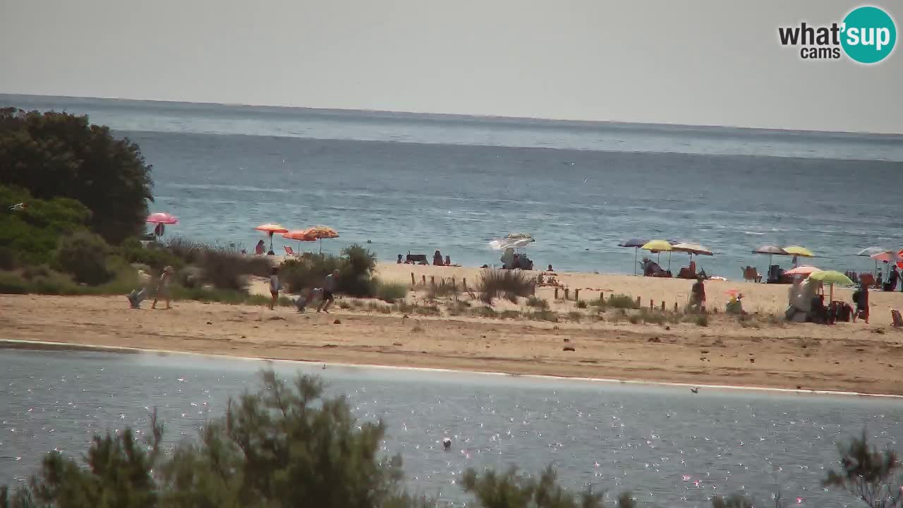Webcam Chia – Live View of Su Giudeu Beach