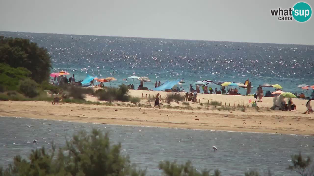 Webcam Chia – Live View of Su Giudeu Beach