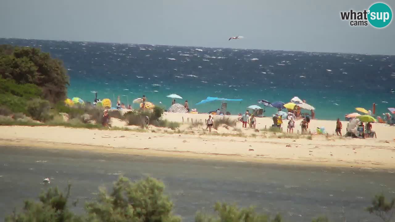 Spletna kamera Chia – Pogled v živo na plažo Su Giudeu