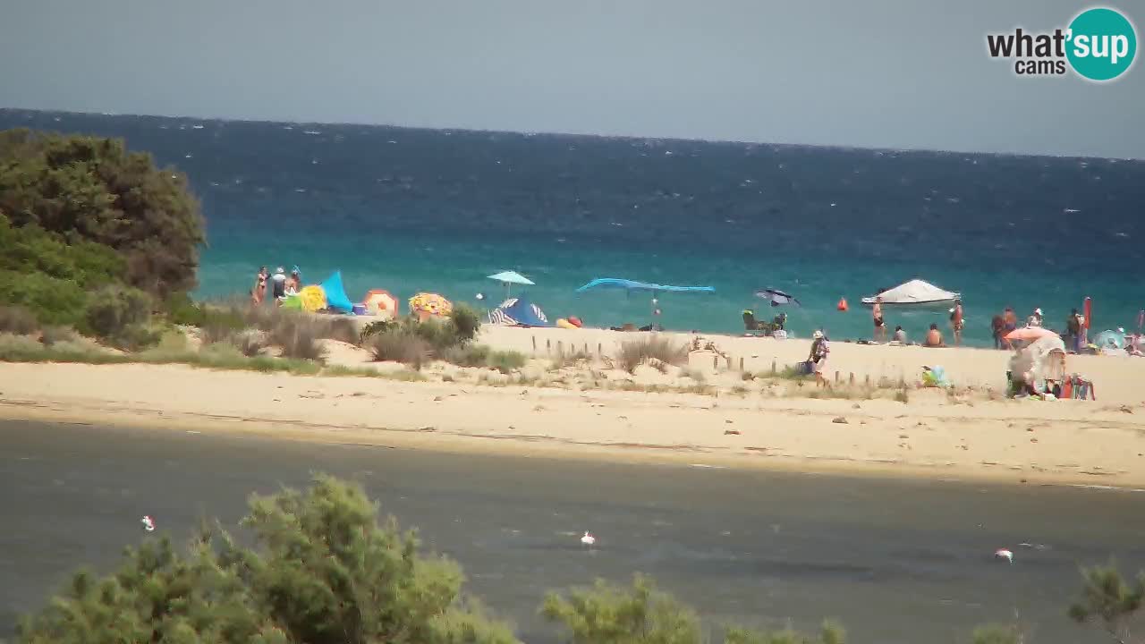 Spletna kamera Chia – Pogled v živo na plažo Su Giudeu