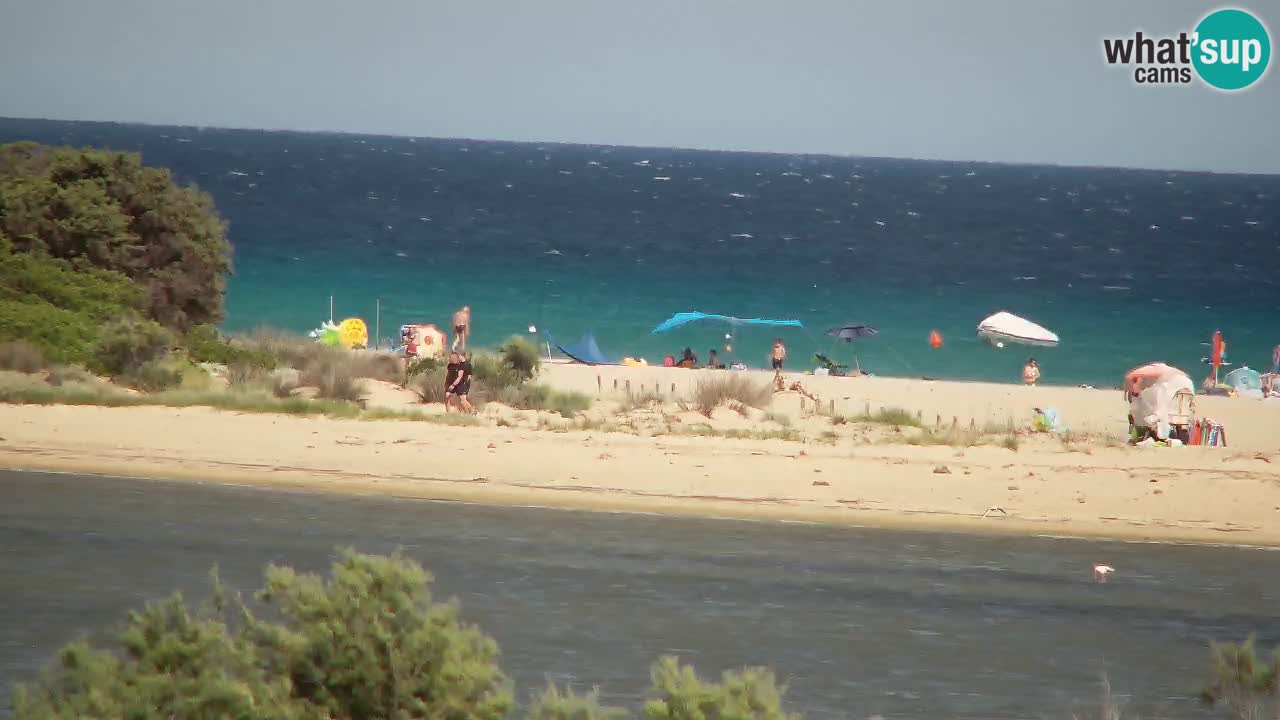 Webcam Chia – Live View of Su Giudeu Beach