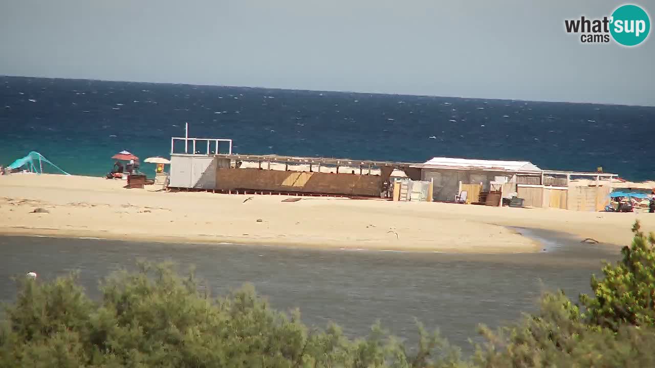Webcam Chia – Live View of Su Giudeu Beach