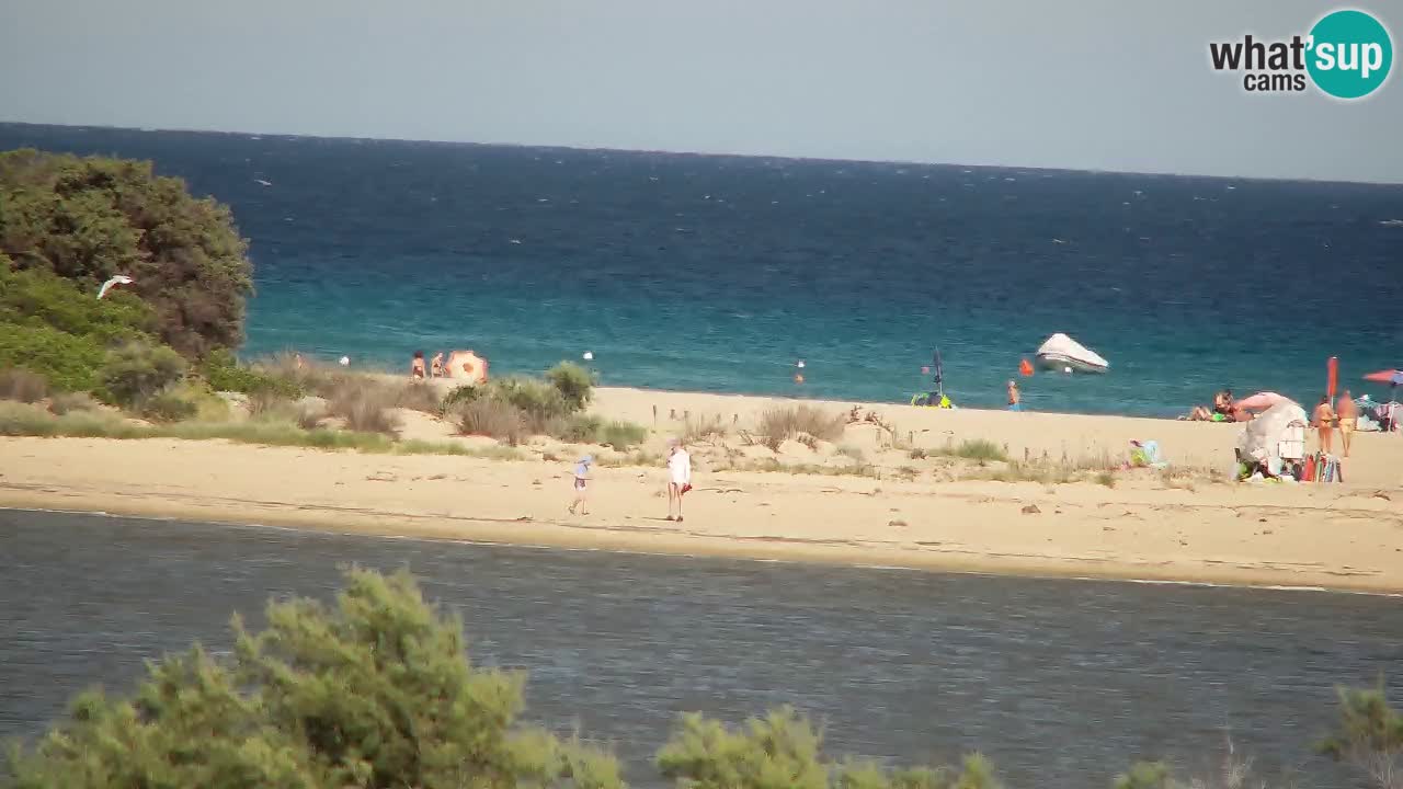Webcam Chia – Live View of Su Giudeu Beach