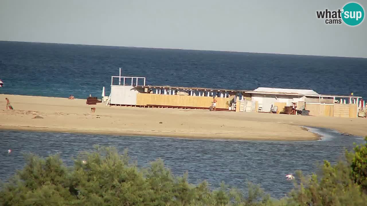 Webcam Chia – Vista en directo de la playa Su Giudeu
