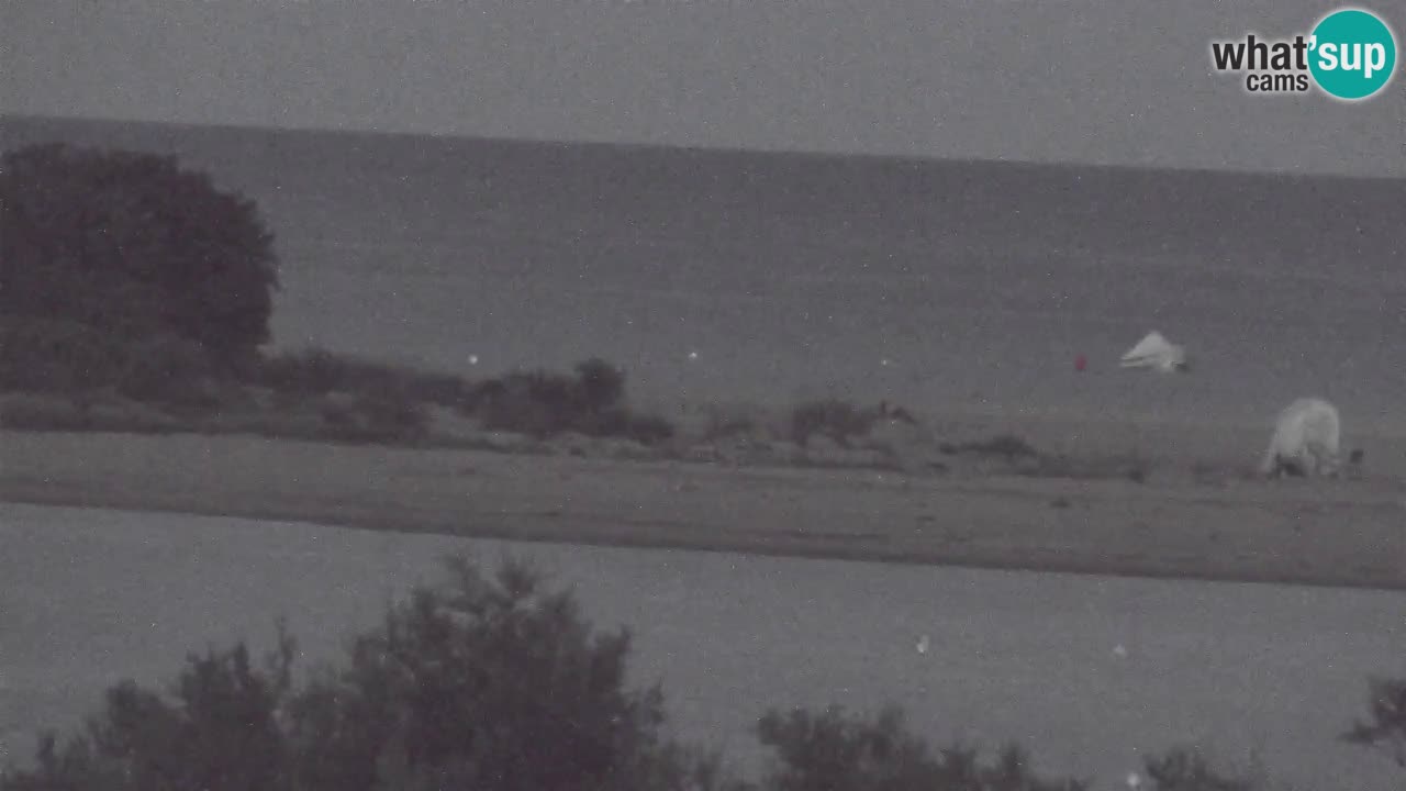 Webcam Chia – Liveblick auf den Strand Su Giudeu