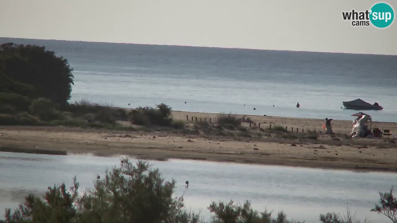 Web kamera Chia – Pogled uživo na plažu Su Giudeu
