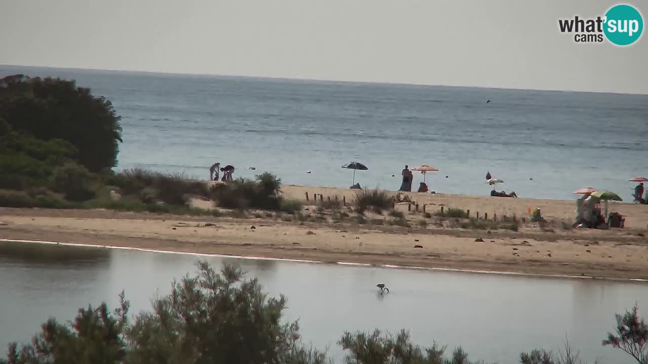 Webcam Chia – Liveblick auf den Strand Su Giudeu