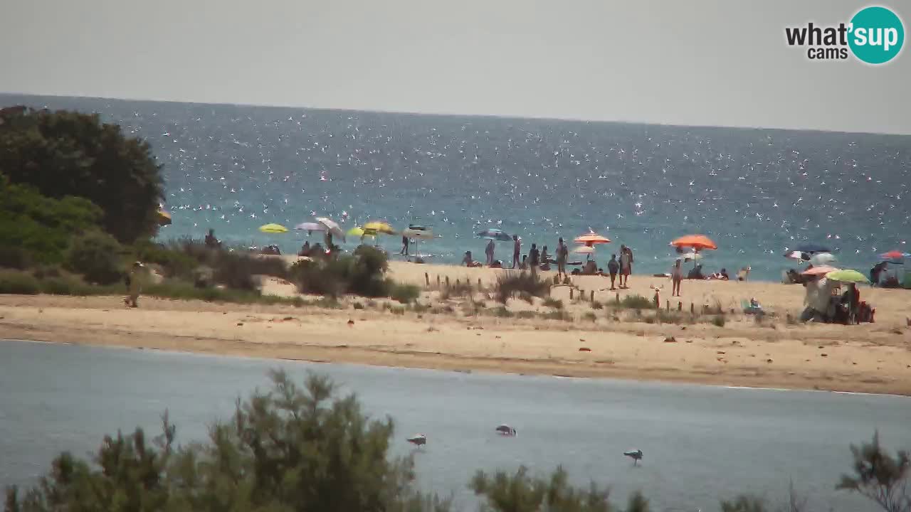 Webcam Chia – Spiaggia Su Giudeu in diretta